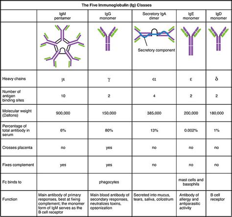 peg vs igd|[SOLVED] .
